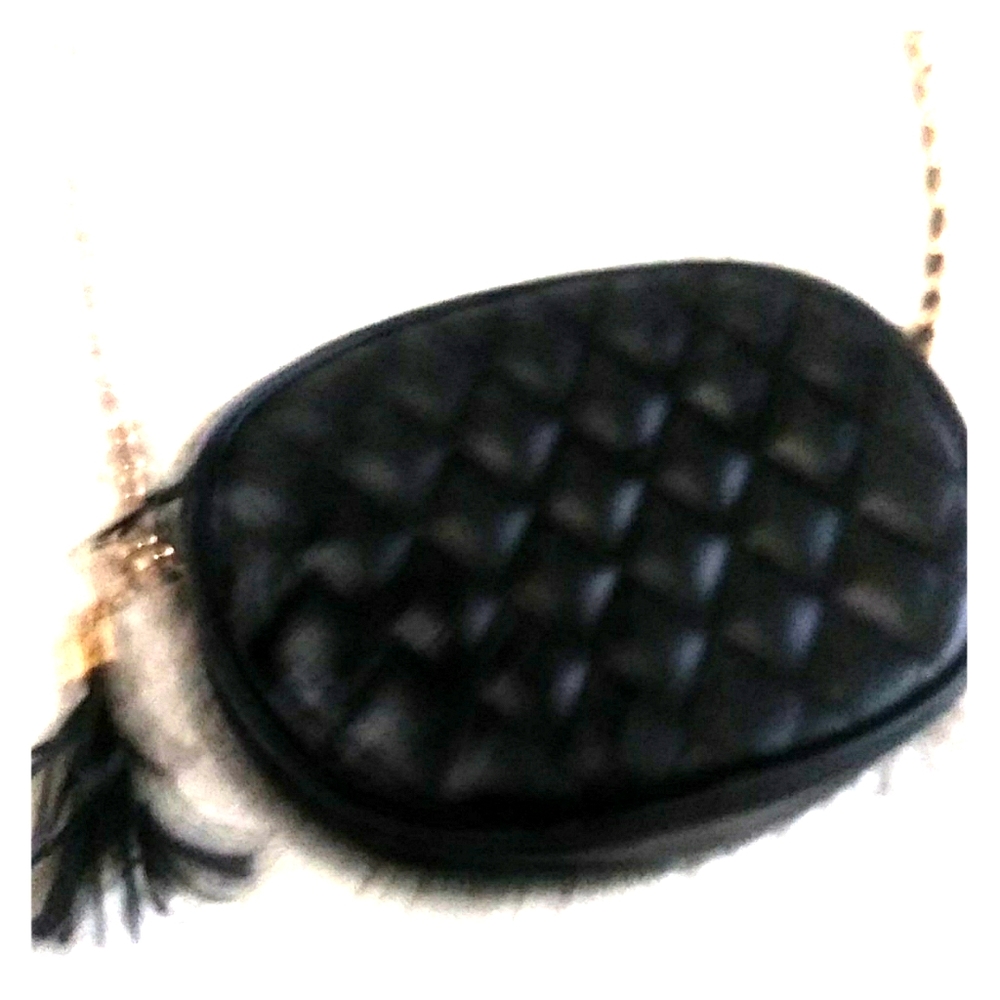 Purse with shoulder strap